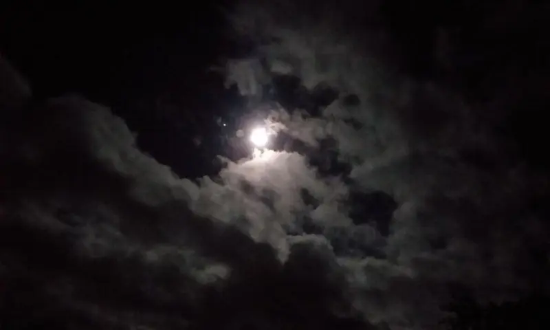 Duistere verhalen in de nacht van het Dwingelderveld