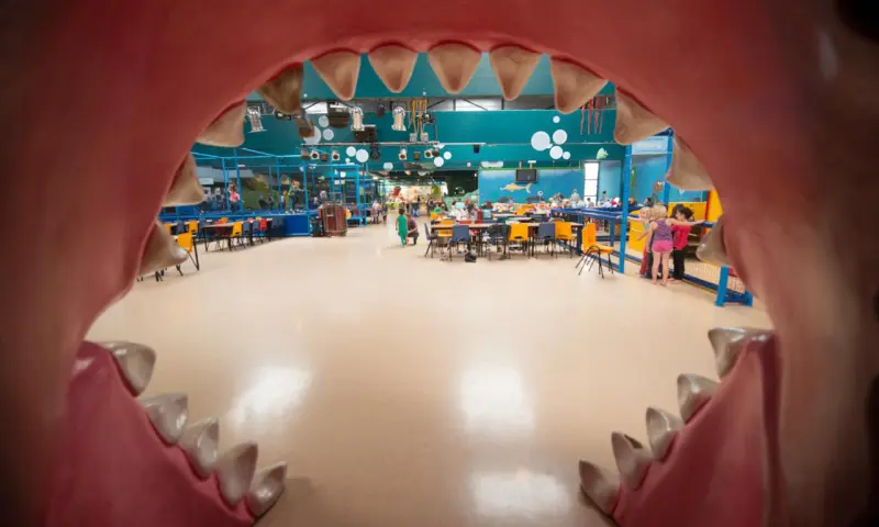 Uitzicht Bubbeljungle