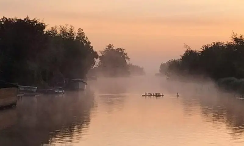 Vroege vogels