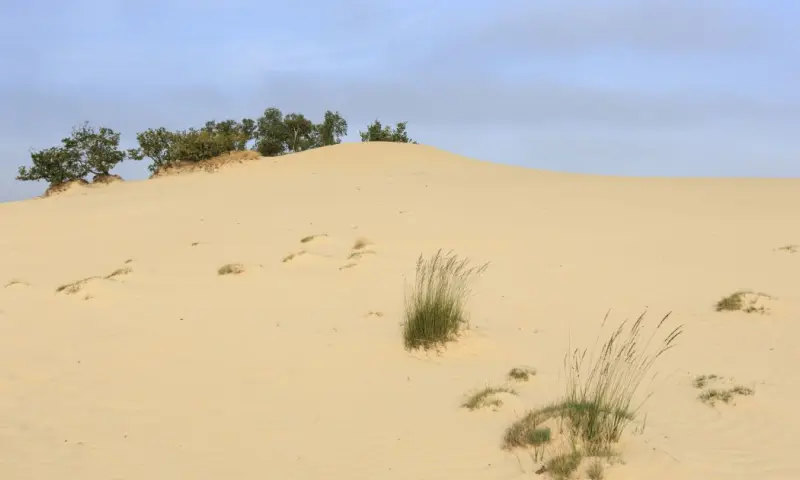 De gezonde Loonse en Drunense Duinen