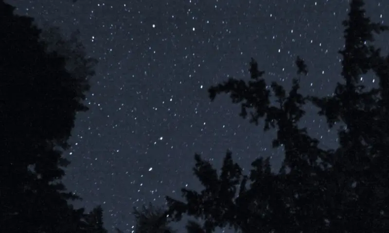 Sterrenwandeling op Schiermonnikoog