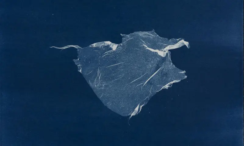 Suzette Bousema, Future Relics, 2018