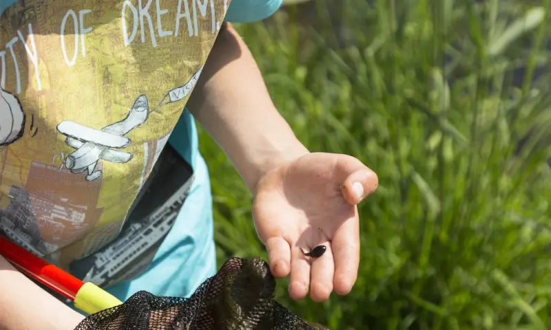 OERRR waterdiertjes zoeken op Veluwezoom