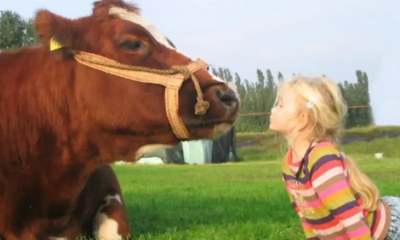 Speelboerderij Steenuil