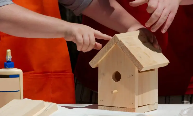 OERRR Vogelhuisjes bouwen in 's-Graveland