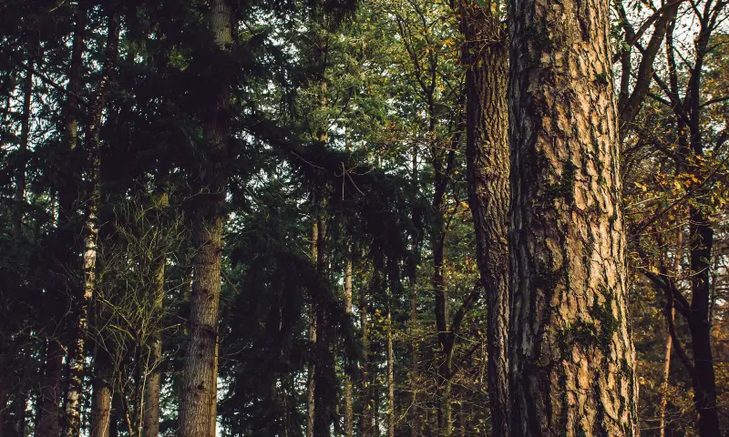 Land Rover Veluwe Tour