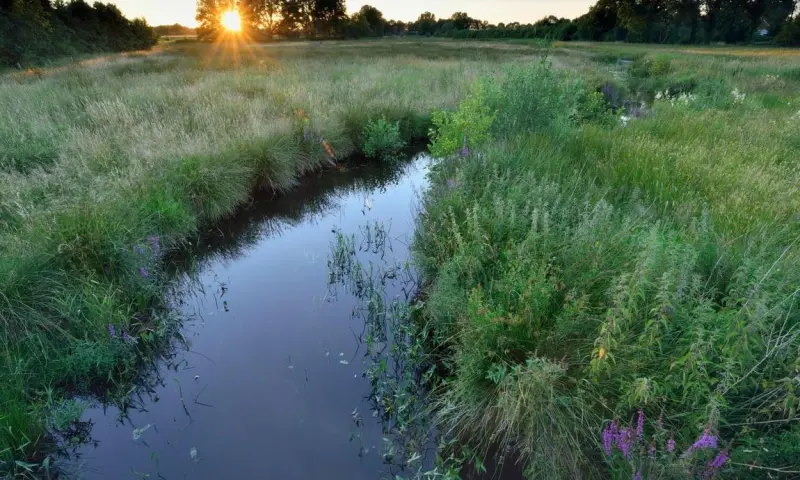 Avondwandeling rondom Smeerling