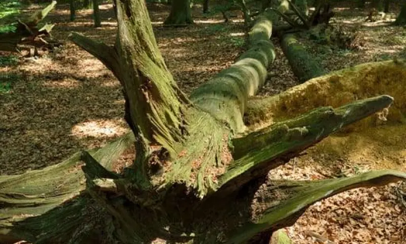 Ga mee en ontdek de magische Weversbergen