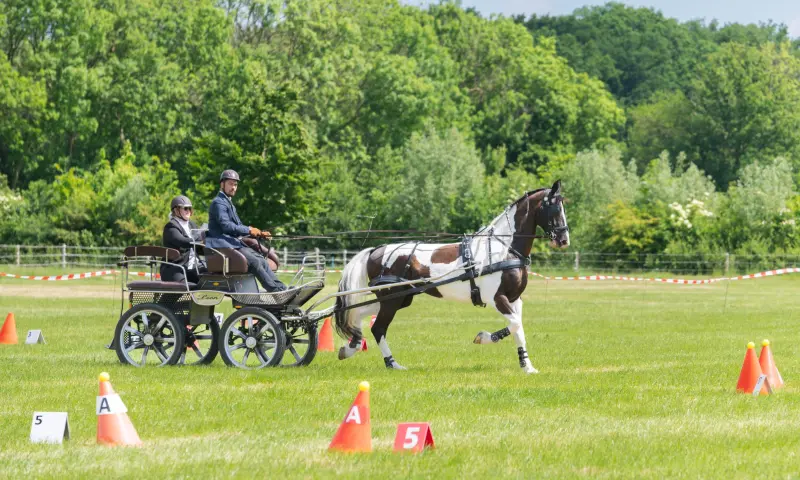 Deelnemer van de Mini-marathon