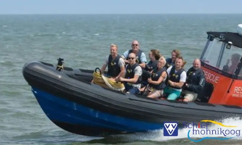 Zeehonden Experience