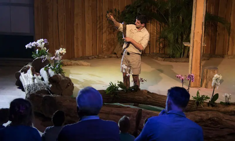 Jungleshow voor het hele gezin in Pantropica