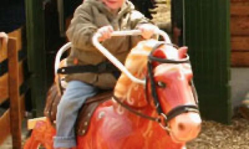 Jongetje op attractiepaard