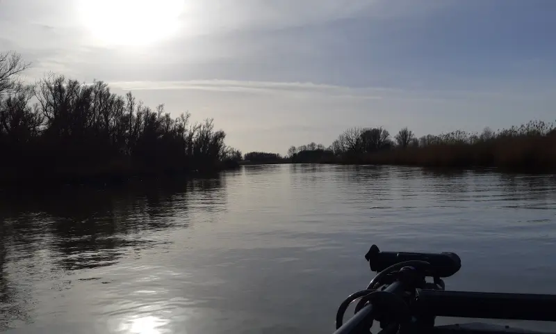 De prachtige Biesbosch