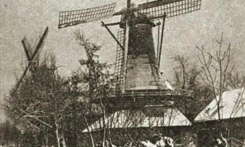 Molen