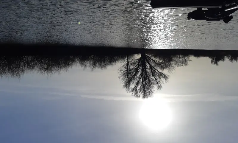 De prachtige Biesbosch