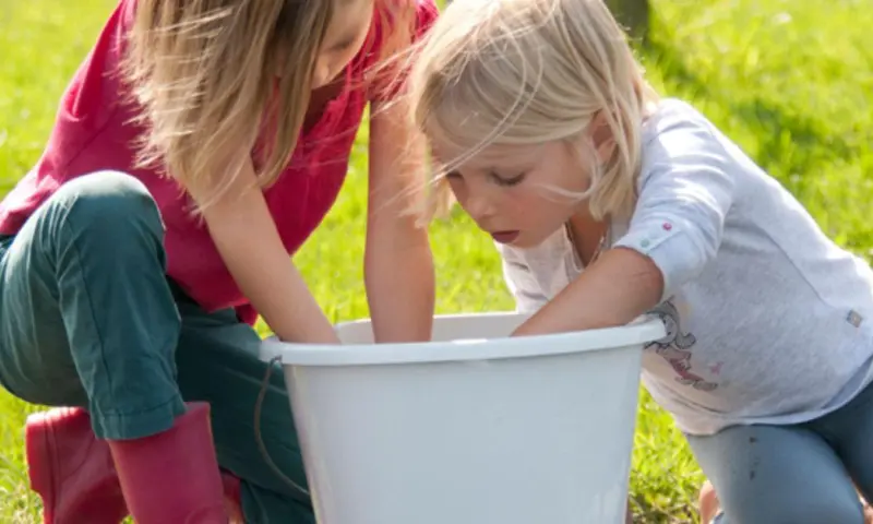 OERRR waterbeestjes vangen Dwingelderveld