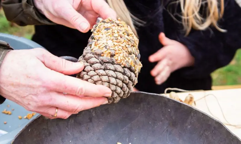 Vogel snacks maken - De Marel, Texel
