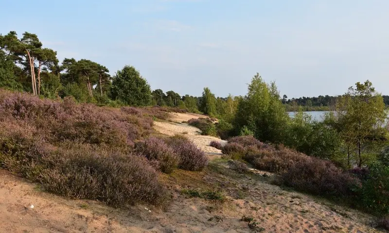 Wandelen