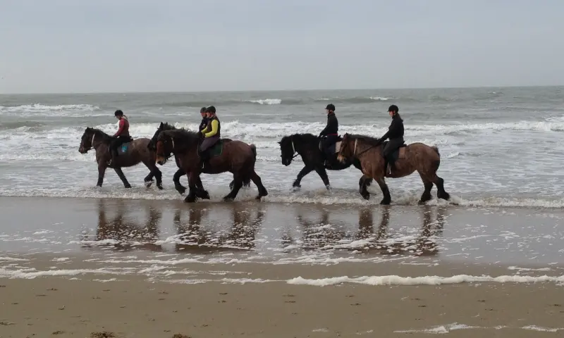 Ruitertocht Texel
