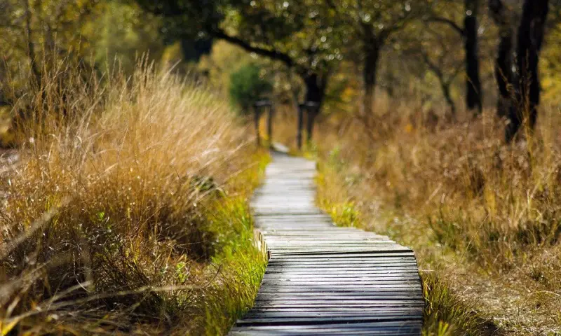 Wandelroute