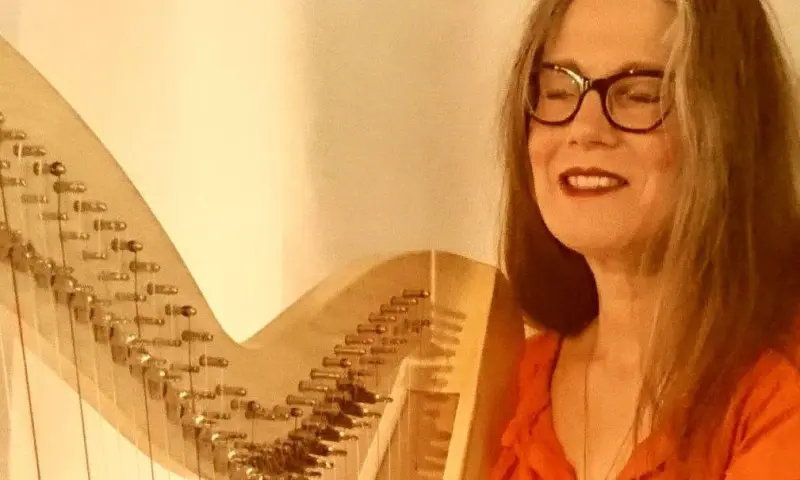 concert poster helemaal