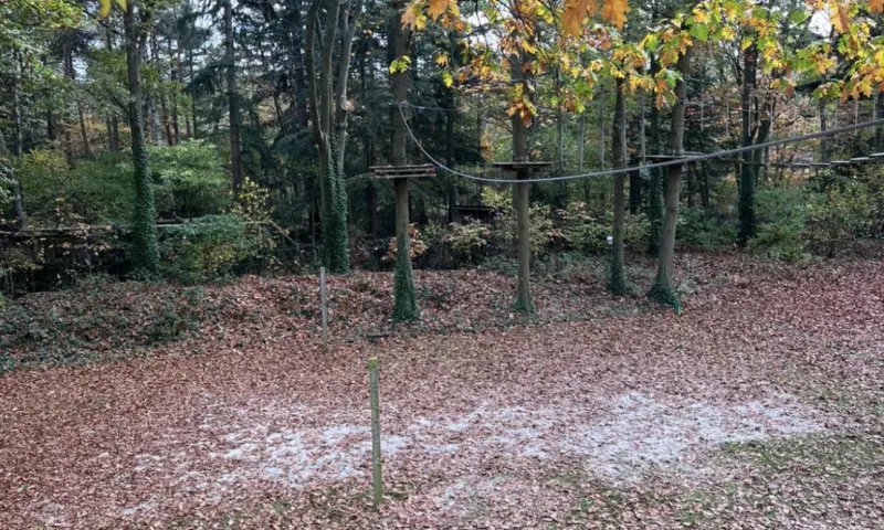 het klimbos in de herfst