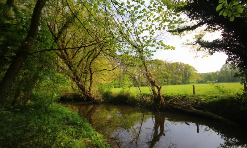 Beleef het voorjaar Buskersbos