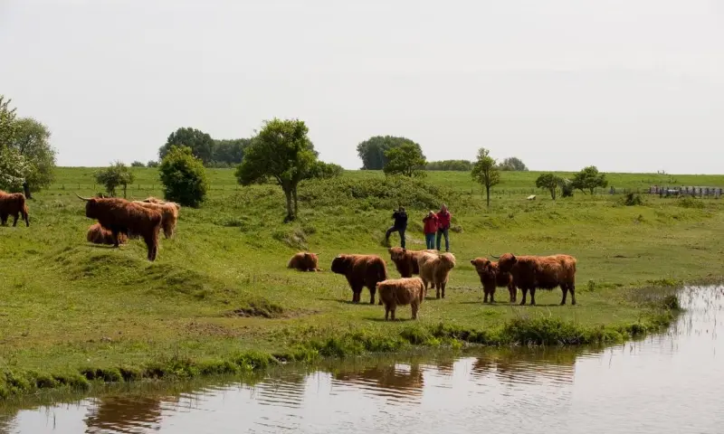 Ontwaakwandeling in de Dintelse Gorzen