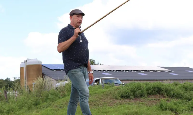 teambuilding schapendrijven