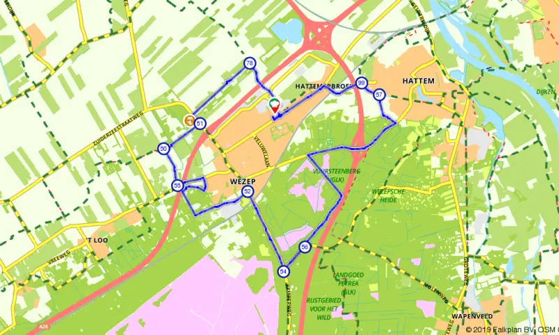 Ontdek de Wezepse Heide in de Veluwe