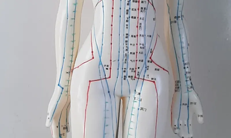 Ook energetische behandelingen mogelijk