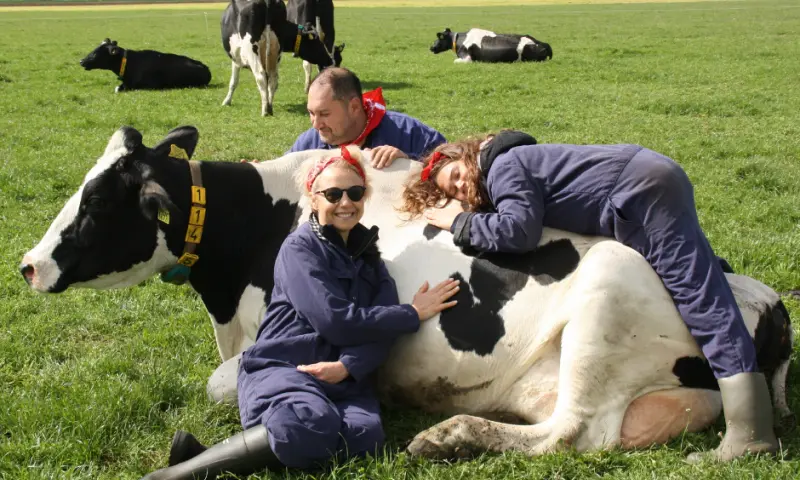 Koeknuffelen in delfstrahuizen