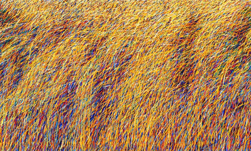 Gerard te Wierik - Movements 3