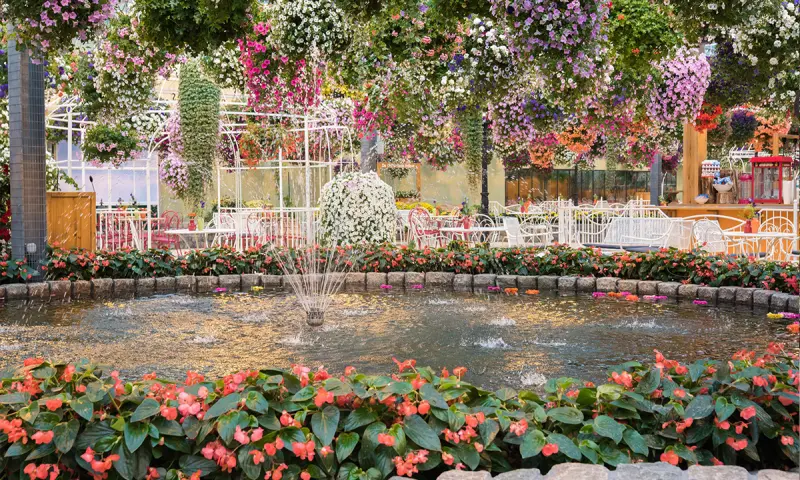 De fontein in Pantropica