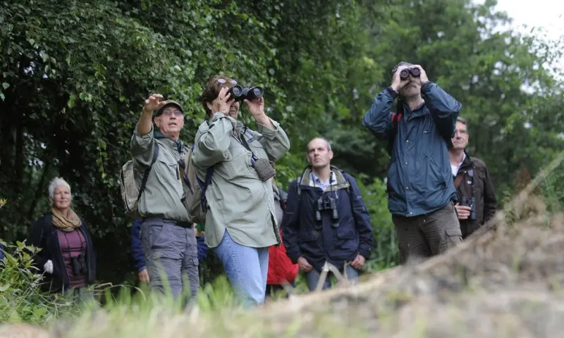 Wandelen tussen de wintervogels in Ackerdijkse Plassen