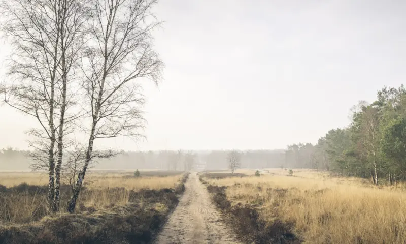 Natuur om het huisje