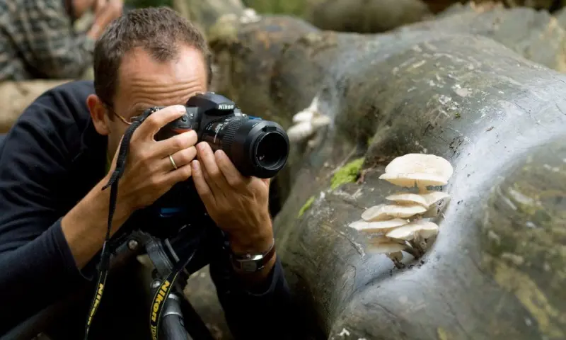Workshop paddenstoelenfotografie in de Kaapse Bossen