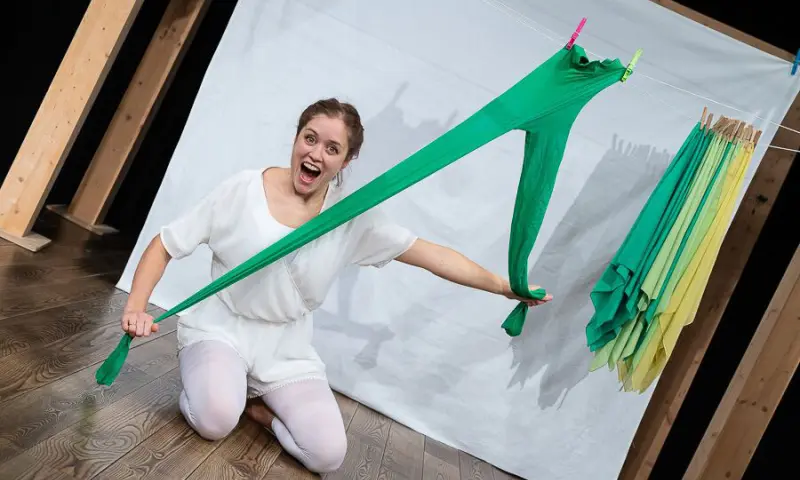 Vier Seizoenen Waslijn