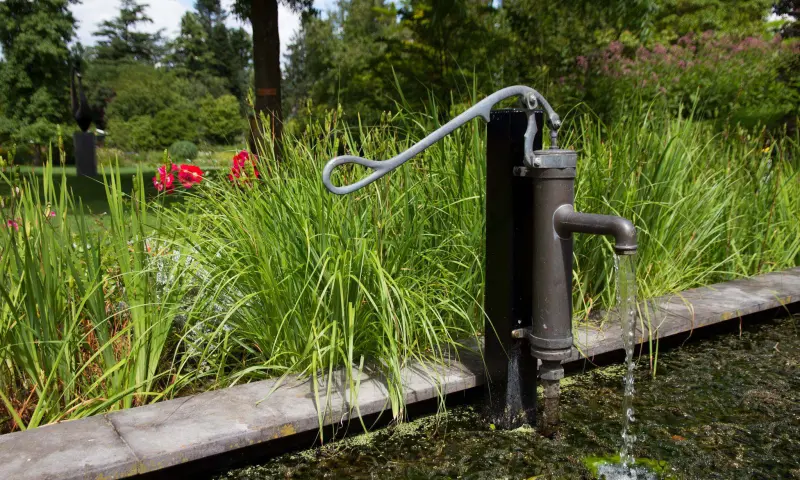 Water voor de vissen