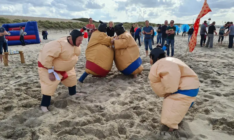 worstelaars in actie