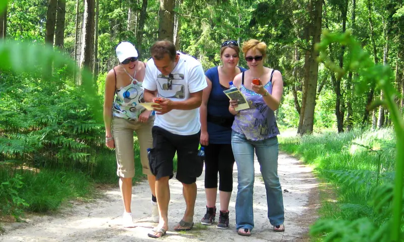 Deelnemers escape the forest