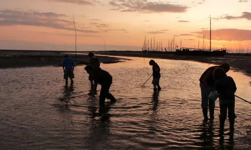 Avondwad Schiermonnikoog