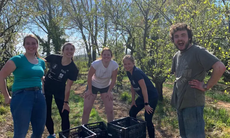 Bordspel in het groot