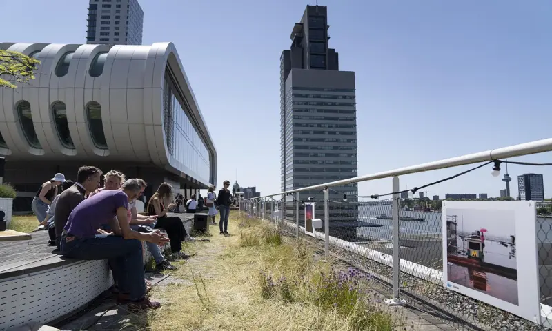 Rotterdamse Dakendagen