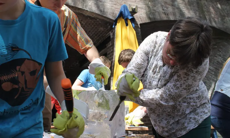 Ijssculpturen cursus