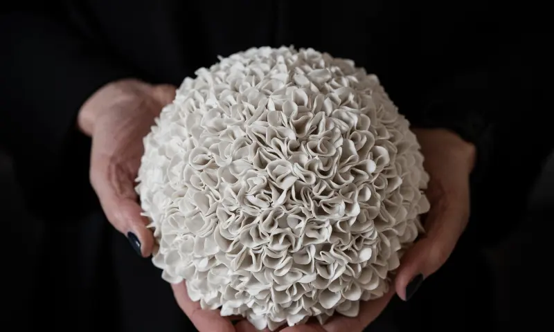 Mary Splinter, Muurbloempje