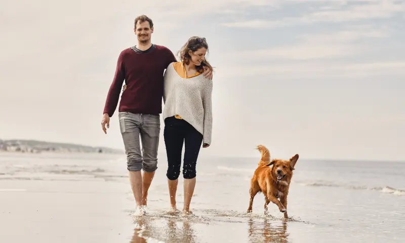 Wandelen op het strand
