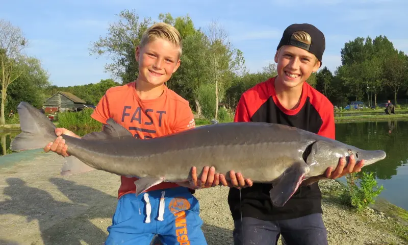 Kleine deelnemers met grote vis