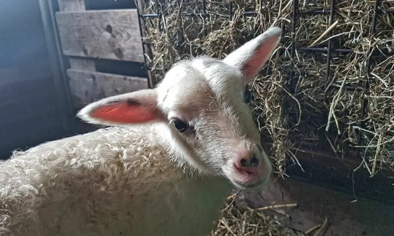 bezienswaardigheden onderweg