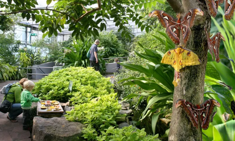 Bezoekers in de dierentuin